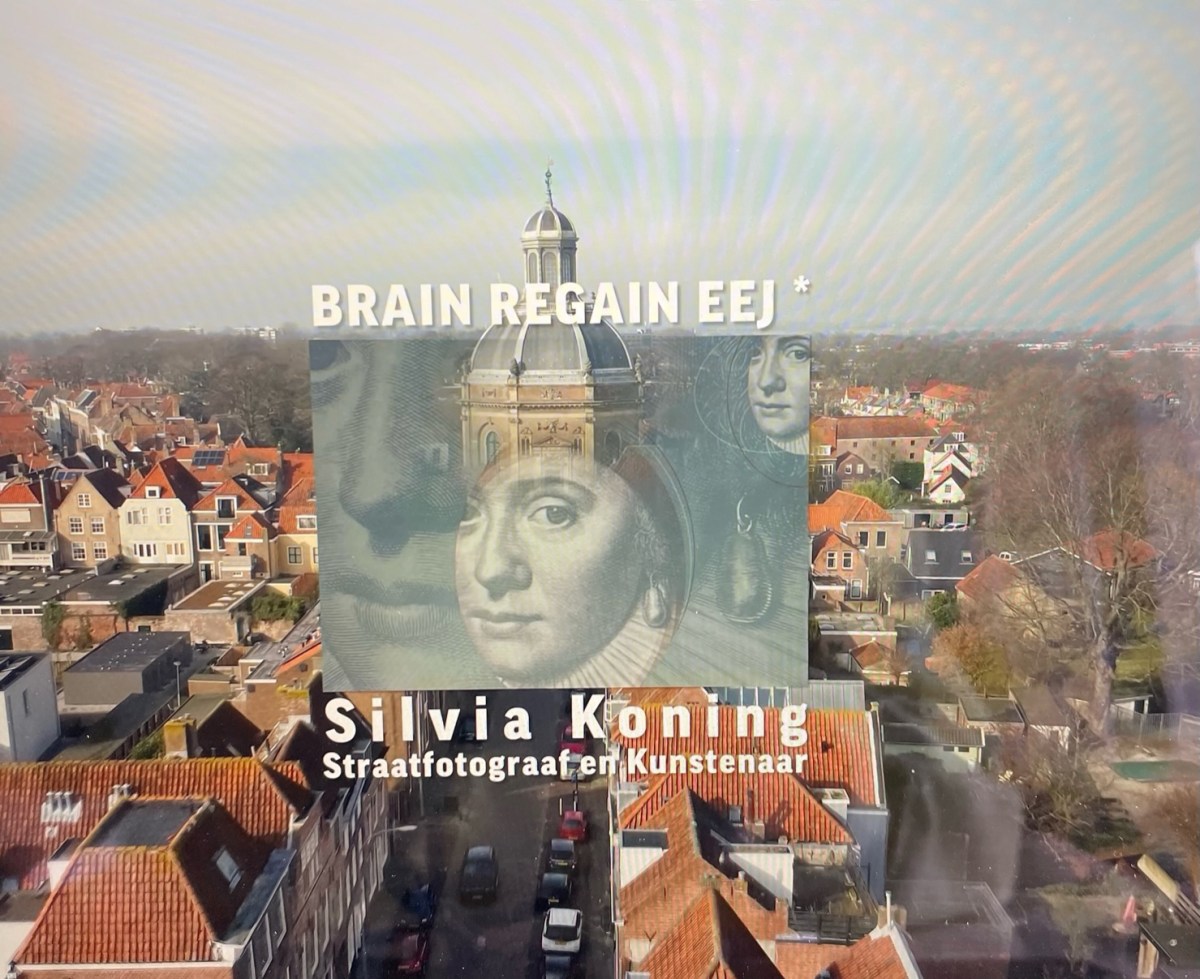 BRAIN REGAIN EEJ*&nbsp;Expositie